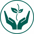 Plant hormones