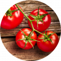 Tomatoes, peppers and eggplants