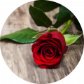 Cut flowers