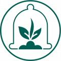 Plant protection