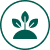 Seedlings products